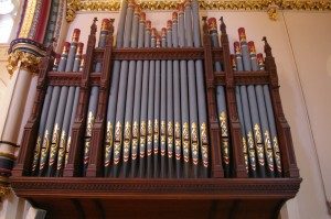 Organ 3