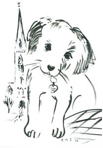 Caring for Animals