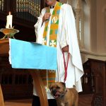 Pet Blessing St Stephan's Church Dulwich 2012