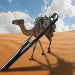 camel - eye of the needle